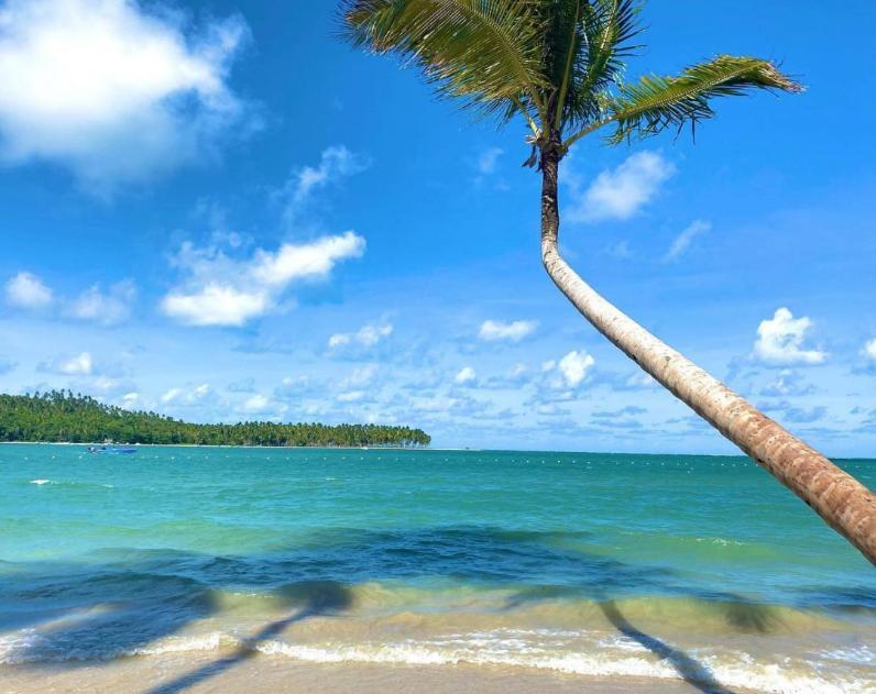 Flat Praia Dos Carneiros Eco Resort 26 Tamandaré Zewnętrze zdjęcie